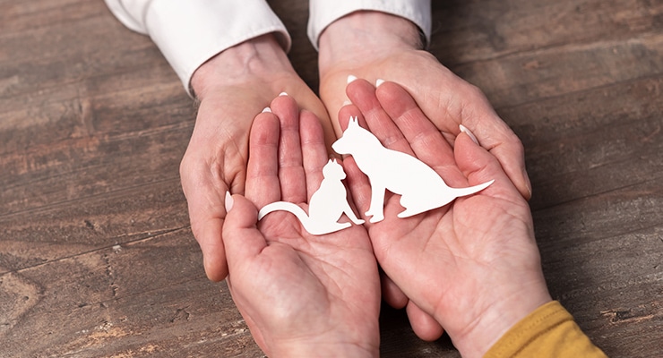 ワクチンアレルギーのペットにも対応