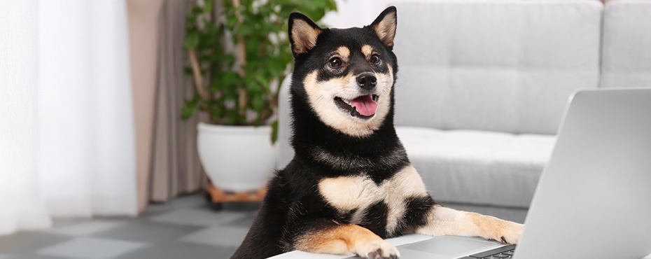 ご利用案内サイト